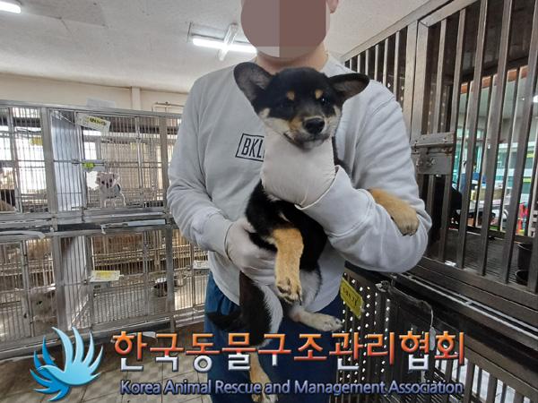 한국동물구조관리협회_441392202400309
